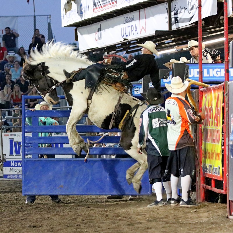 Buckin Bronc Image
