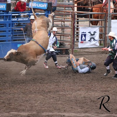 Buckin Bronc Image